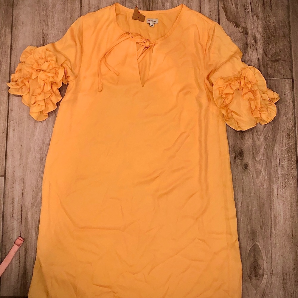 NEVER WORN Cremieux Twill Ruffle Sleeve Dress